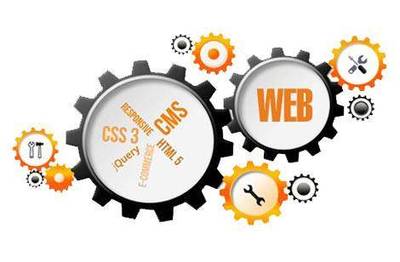 營(yíng)銷(xiāo)型新站快速收錄與排名優(yōu)化 CMS網(wǎng)站的簡(jiǎn)易指南